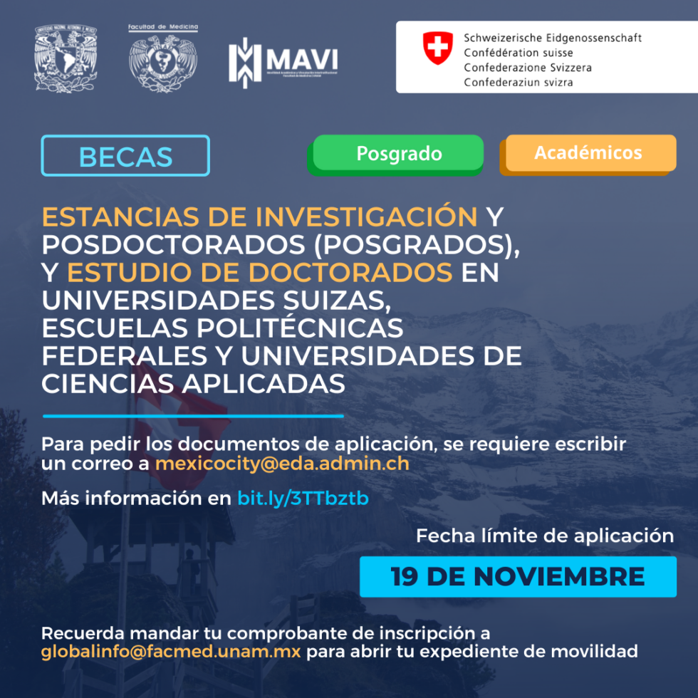 Becas Para Estancias De Investigación Y Posdoctorados Posgrados Y